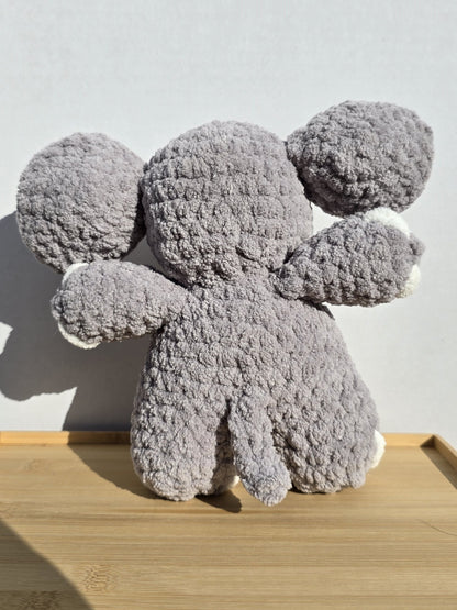 Acho the Baby Elephant