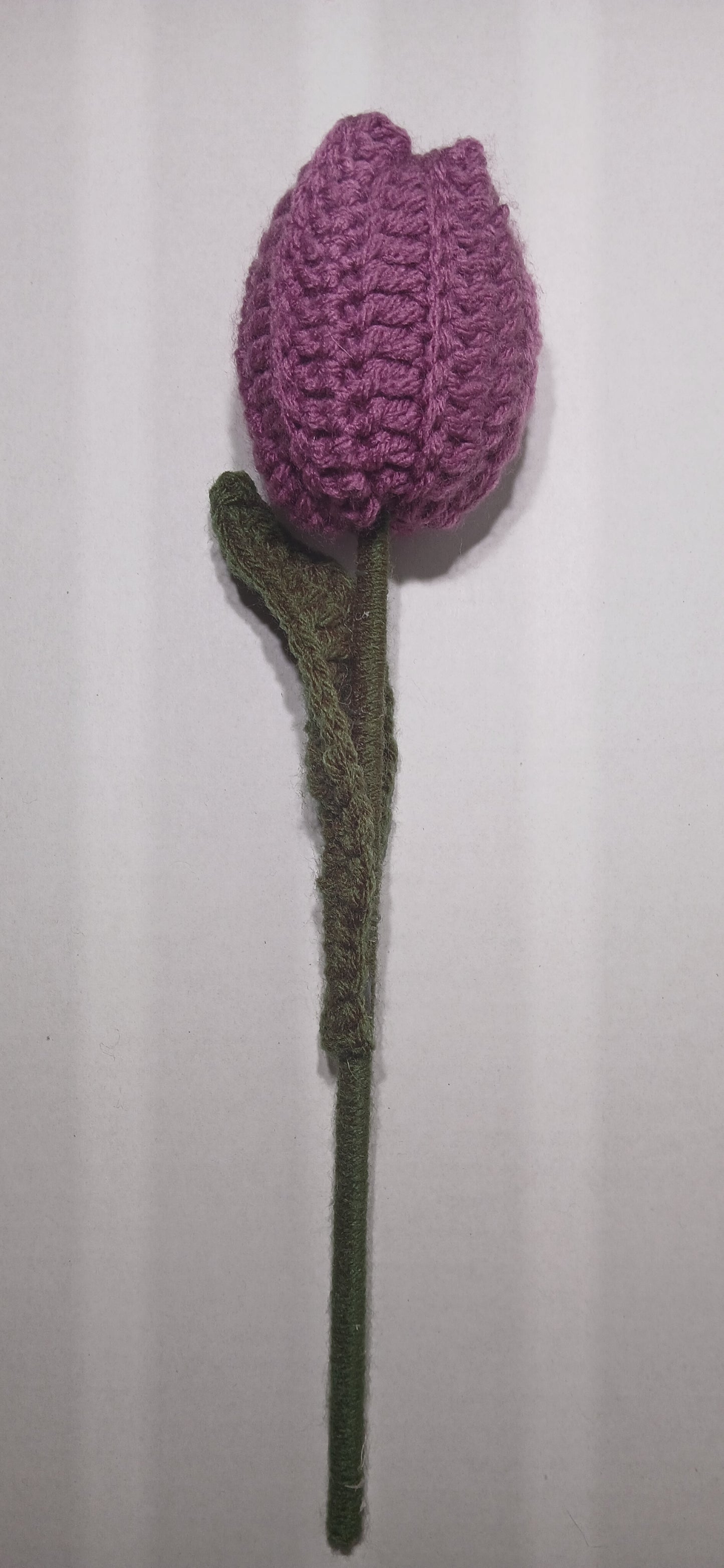 Crochet Tulip